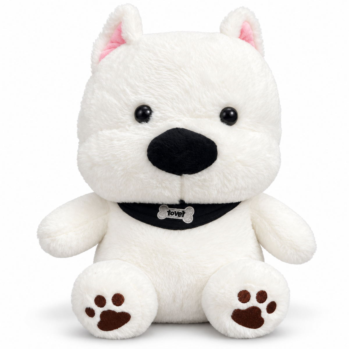 Romeo – The Black Scarf Dog