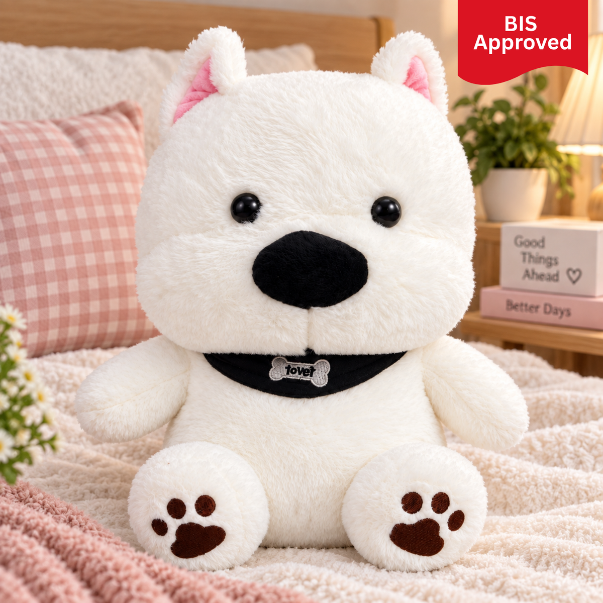 Romeo – The Black Scarf Dog
