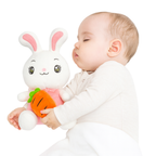 Carla – The Carrot Bunny Plush Soft Toy