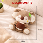 Kora – The Coconut Koala Plush Toy