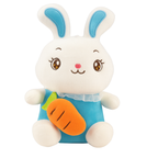 Carla – The Carrot Bunny Plush Soft Toy