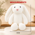 Flopsy – The Big Ears Bunny Plush Soft Toy