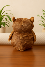 Theo – The Scholar Owl Plush Soft Toy
