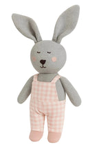 Stuffed toy rabbit with gray body and pink checkered overalls on a white background