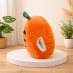 Carro – The Playful Carrot Plush Soft Toy + Blanket