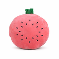 Melon – The Juicy Watermelon Plush Soft Toy + Blanket