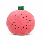 Melon – The Juicy Watermelon Plush Soft Toy + Blanket