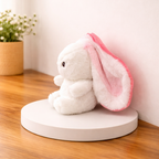 Bianca – The Strawberry Bunny Plush Toy