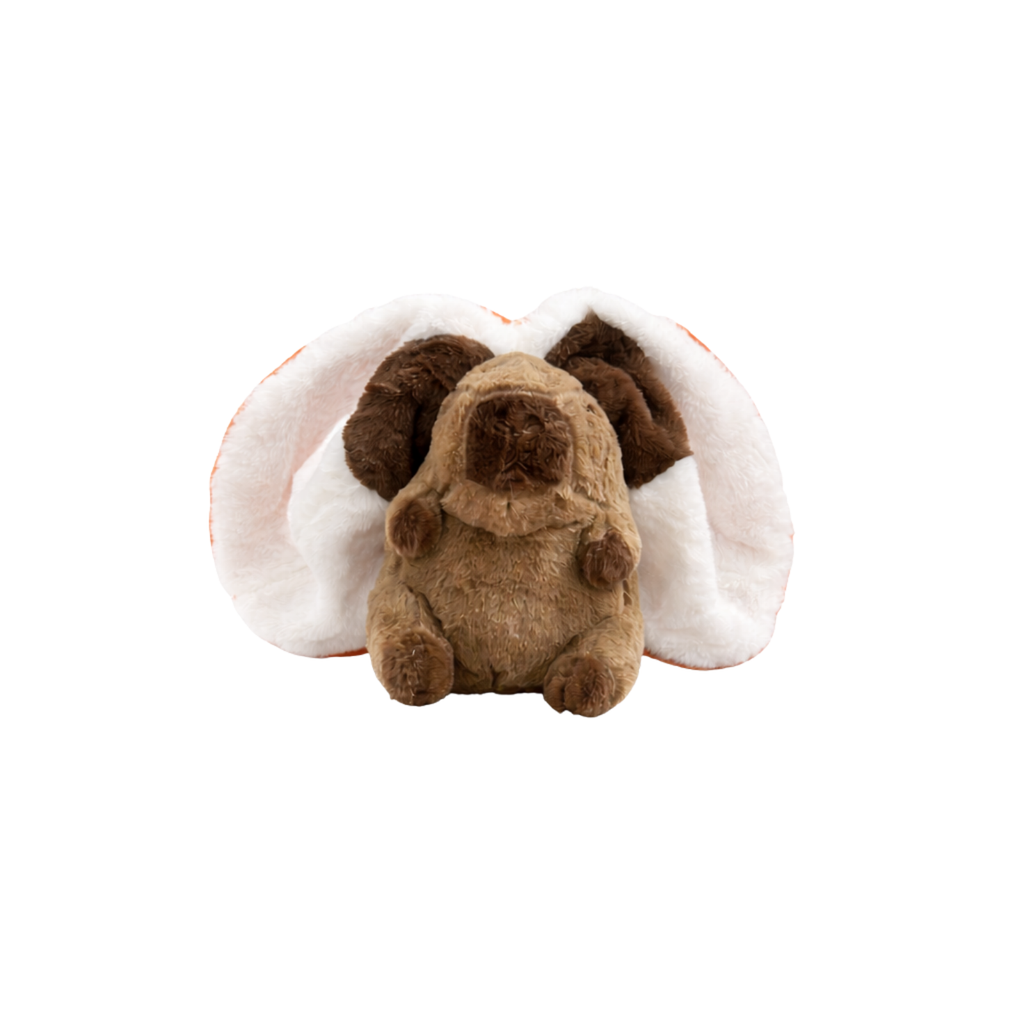 Capo – The Carrot Capybara Plush Toy