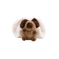 Capo – The Carrot Capybara Plush Toy