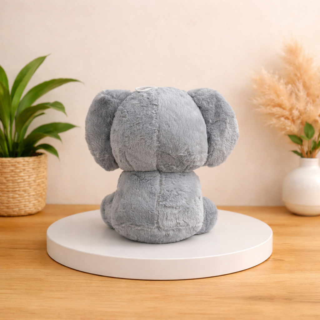 Kora – The Coconut Koala Plush Toy