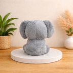 Kora – The Coconut Koala Plush Toy