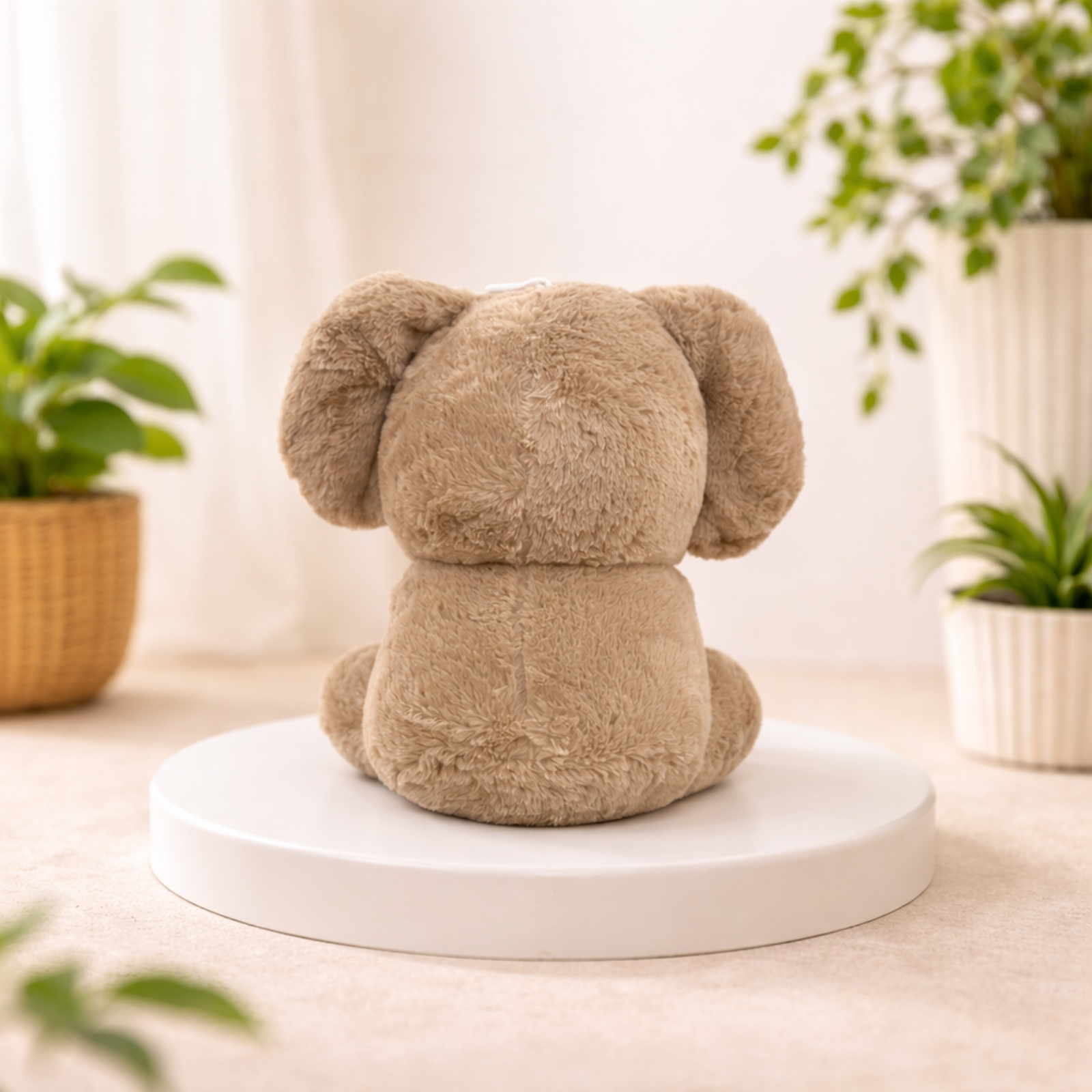 Kora – The Coconut Koala Plush Toy